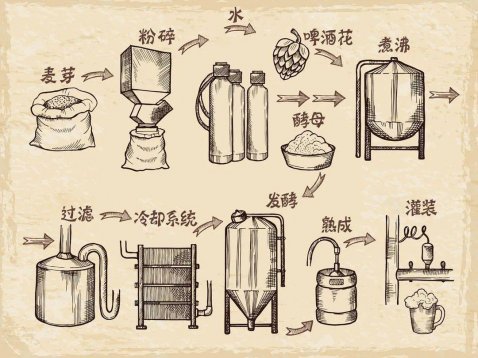 關(guān)于啤酒的知識(shí)，看這一文就夠了